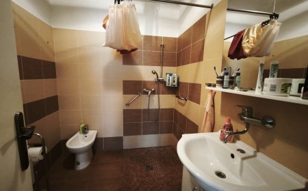 upload/image/543/7-1.jpeg